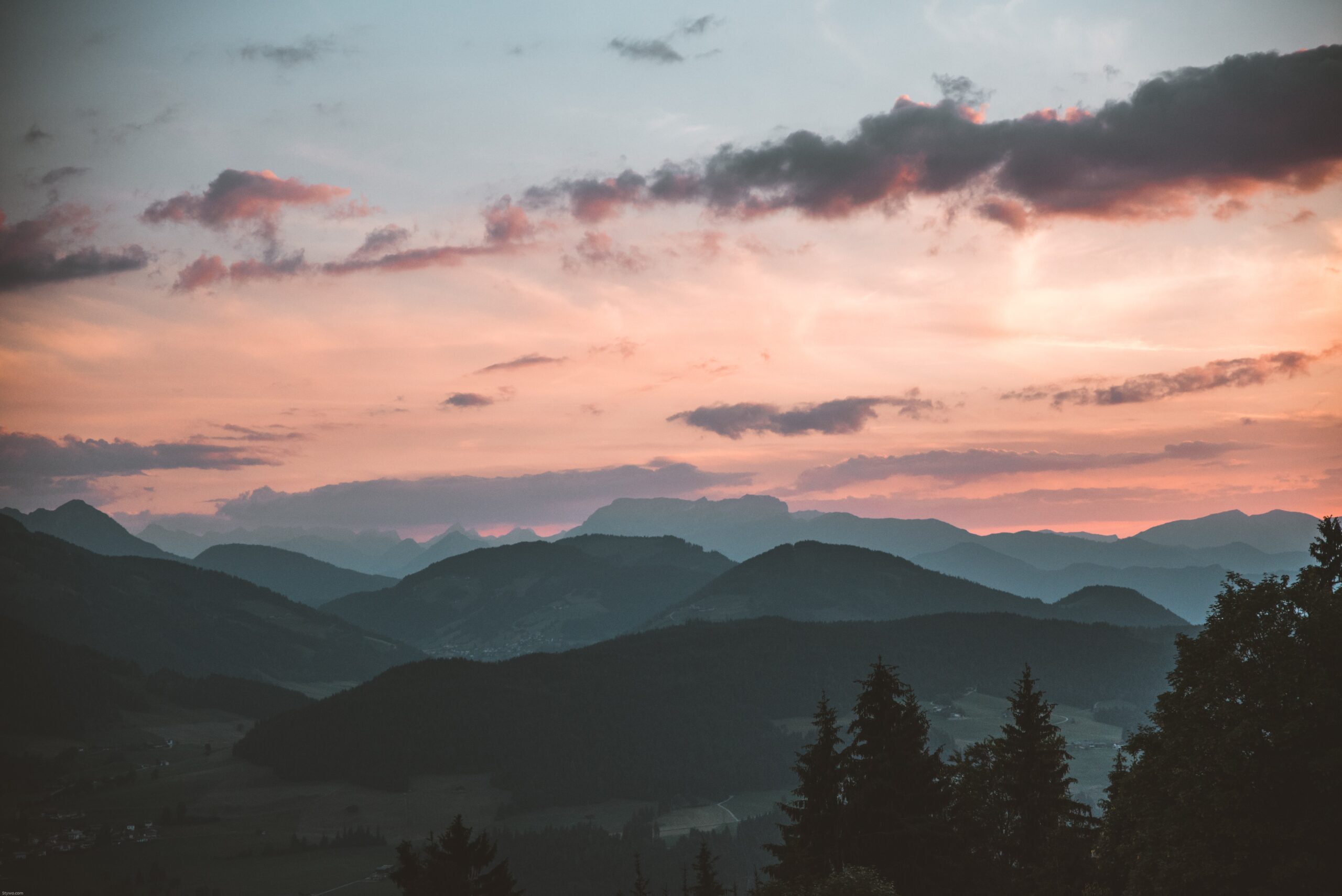 pexels-stephan-seeber-1261728 pexels-stephan-seeber-1261728-scaled