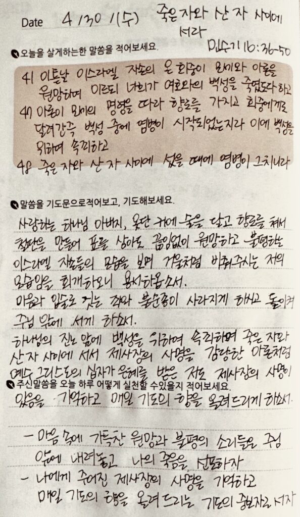 20250430 수