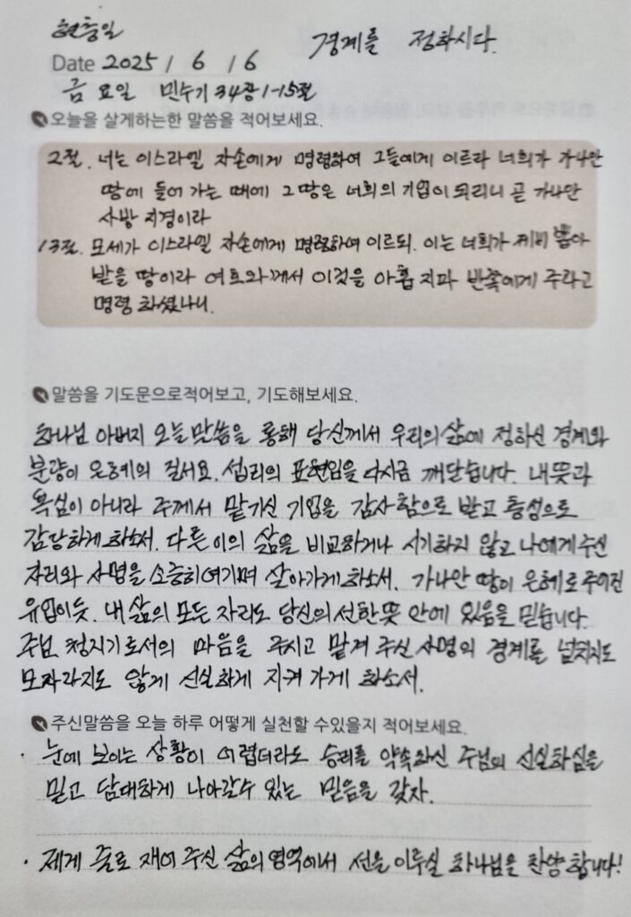 20250606 금