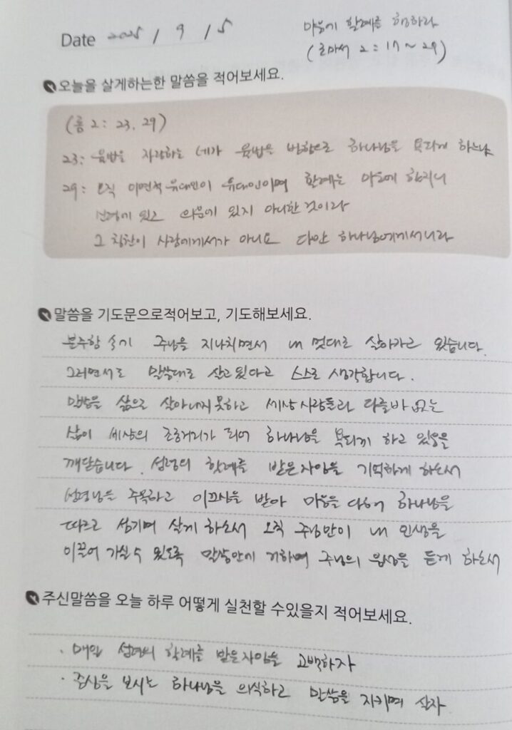 20250905 금