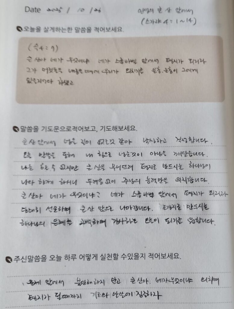 20251017 금