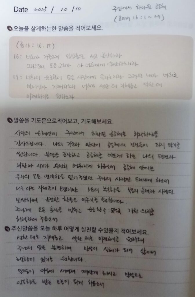 20251010 금