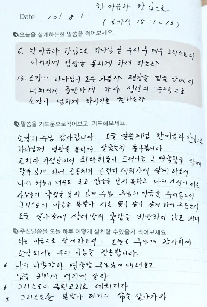 20251008 수